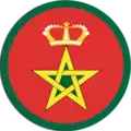 Cocarde des avions de chasse