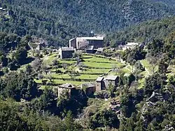 Sevasi-Taponzoli.