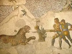Mosaïque du Ve siècle représentant un tigre en prise avec deux piquiers.