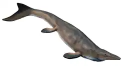 Reconstitution en image de synthèse d'un reptile marin marron sur fond blanc.