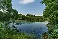 Étang dans l'ancien domaine d'Alexandrovo-Chtchapovo.