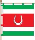 Drapeau de Mochoryne