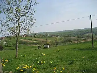 Pobjenik