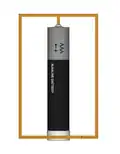 Moteur homopolaire 2D