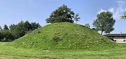 Vestiges de la motte castrale de Saint-Cyr, un dôme de terre entouré de quelques arbres.
