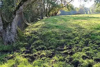 Motte Del Rigadrie, motte féodale.