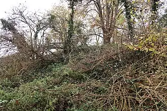 Motte féodale d'Omal