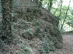 Vue de la motte.