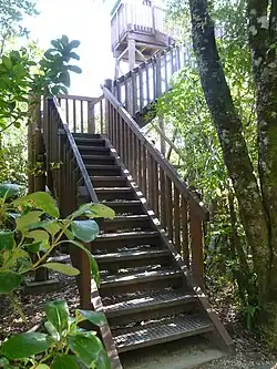 Escalier d'accès à une tour d'observation.