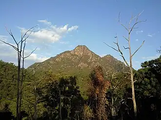 Vue du mont Barney.
