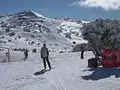Mount Blue Cow