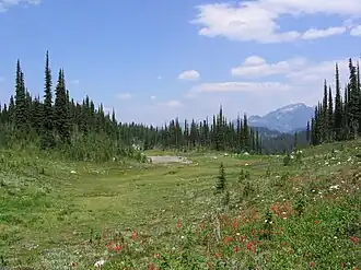 Mont Revelstoke