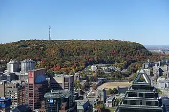 Le mont Royal vu depuis l'observatoire de la Place Ville-Marie.