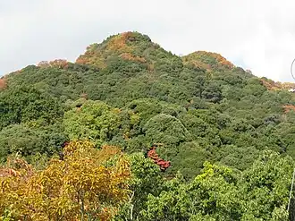 Mont Shigi.
