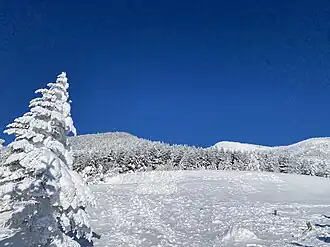 Mont Yoko de Tsuboniwa en hiver.
