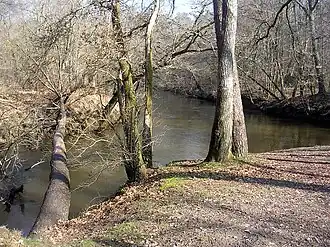 La confluence des deux Leyre (la Grande à gauche, la Petite à droite) au « Hourc d'Eyre » à Moustey.
