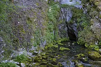 La source du Doubs.