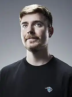 Vidéaste Web