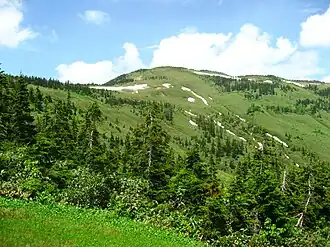 Vue du sommet