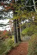 Chemin menant au sommet.