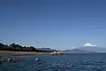 Miho no matsubara et le mont Fuji.