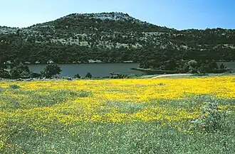 Vue du mont Scott.