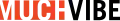 Logo de MuchVibe de 2011 à 2016