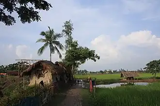 Basanti