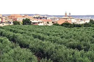 Muel (Saragosse)