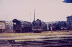 1968