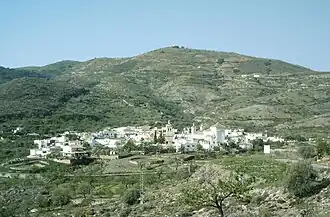 Turón
