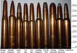 Munition de chasse : du 300 Mag au 7 x 65 R
