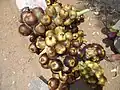 Fruit ou taal.