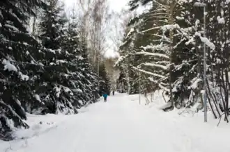 Piste de ski.