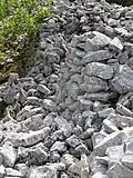 Reste d'élévation du mur en pierre sèche du rempart (côté Nord, extérieur)