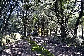 Ruines d'Arca.