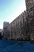 Pan de la muraille de l'Alcázar.