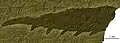 Fossile de Mureropodia apae, qui est peut-être en fait l'appendice frontal de  Caryosyntrips&nbsp;(en) camurus.