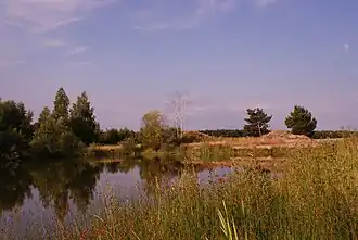 Murzynowo Leśne