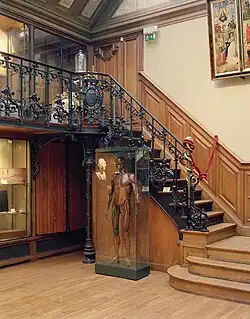 En vitrine : le mannequin de Felice Fontana (XVIIIe&nbsp;siècle).