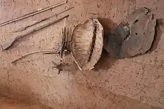 Carapace de tortue de mer et la peau d'hippopotame.