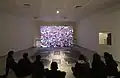 Projection d'une vidéo.