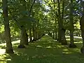 Parc de la Cour d'appel.