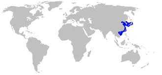 Description de l'image Mustelus griseus distmap.png.
