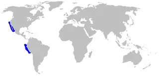 Description de l'image Mustelus henlei distmap.png.