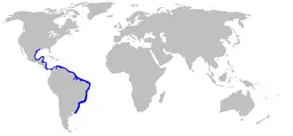 Description de l'image Mustelus higmani distmap.png.
