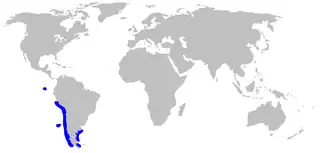 Description de l'image Mustelus mento distmap.png.