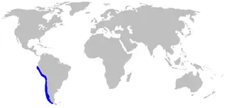 Description de l'image Mustelus whitneyi distmap.png.