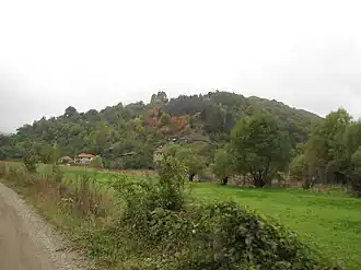 Musulj