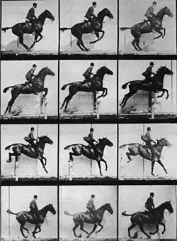 Saut d'un cavalier (1887).